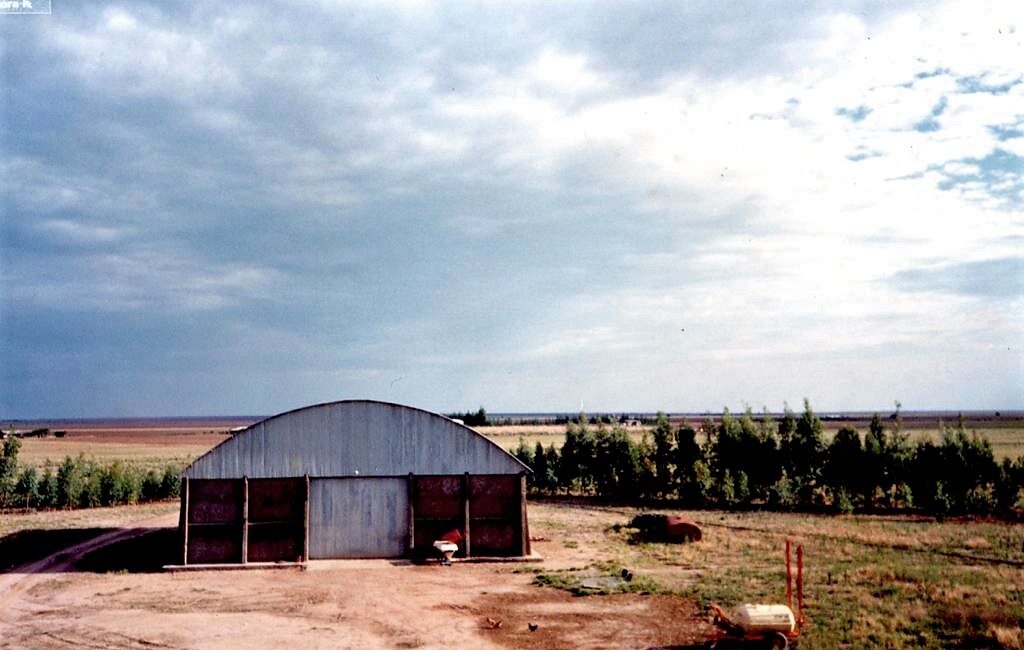 Visão da lavoura e da sede em 1983, com apenas um galpão no descampado cerrado.